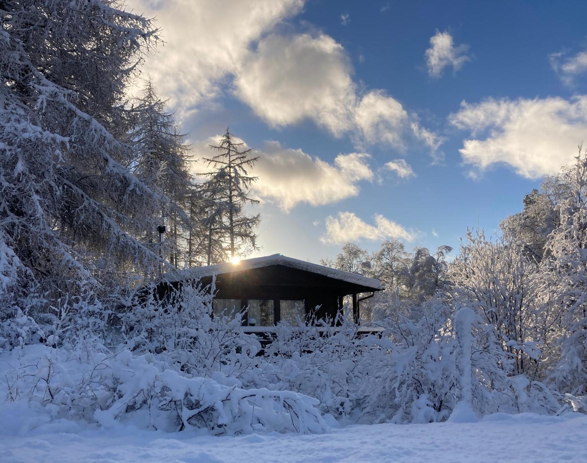 Апартаменти Woodland Retreats Форт-Вільям Екстер'єр фото
